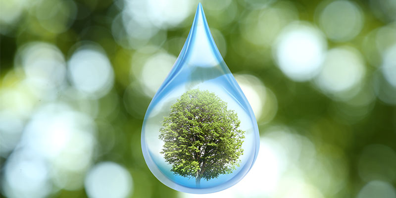 Environmental Industry